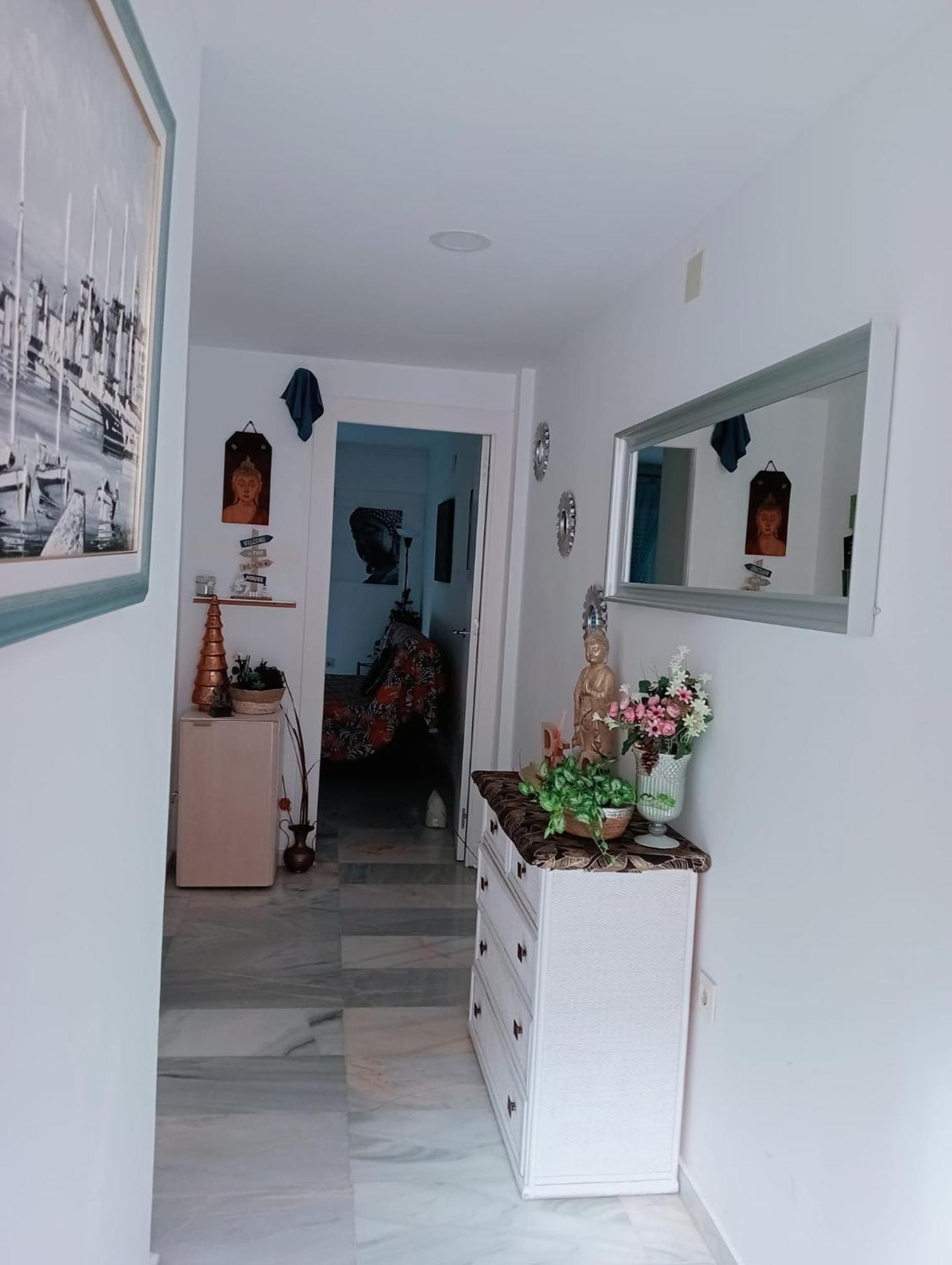 Apartamento Con Wifi, Mascotas Bienvenidas Benidorm Extérieur photo