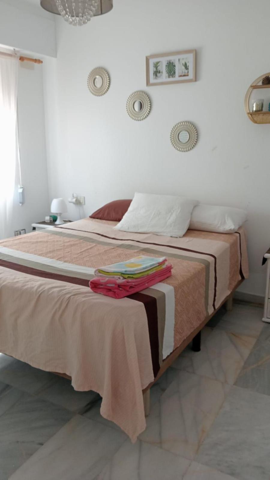 Apartamento Con Wifi, Mascotas Bienvenidas Benidorm Extérieur photo